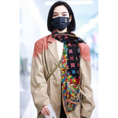 Louis Vuitton Scarf LVS00039 JK3283Il41