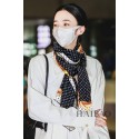 Louis Vuitton Scarf LVS00022 JK3300CD62