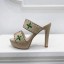 Louis Vuitton Shoes LVS00029 Heel 10.5CM JK1716vK93