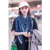 Louis Vuitton Scarf LV00102 JK3382DS71